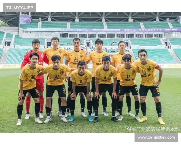 老将肖智加盟广州影豹，丰富职业履历助力年轻球队